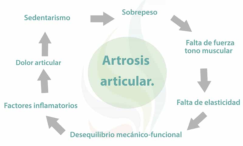 Pagina 8 - blog farmacia - Farmacia 24 horas Palma | Farmacia Balanguera